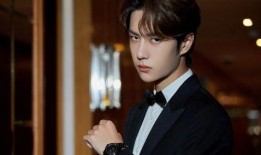 老王爆料王源视频大全,老王爆料视频大全，带你领略偶像魅力